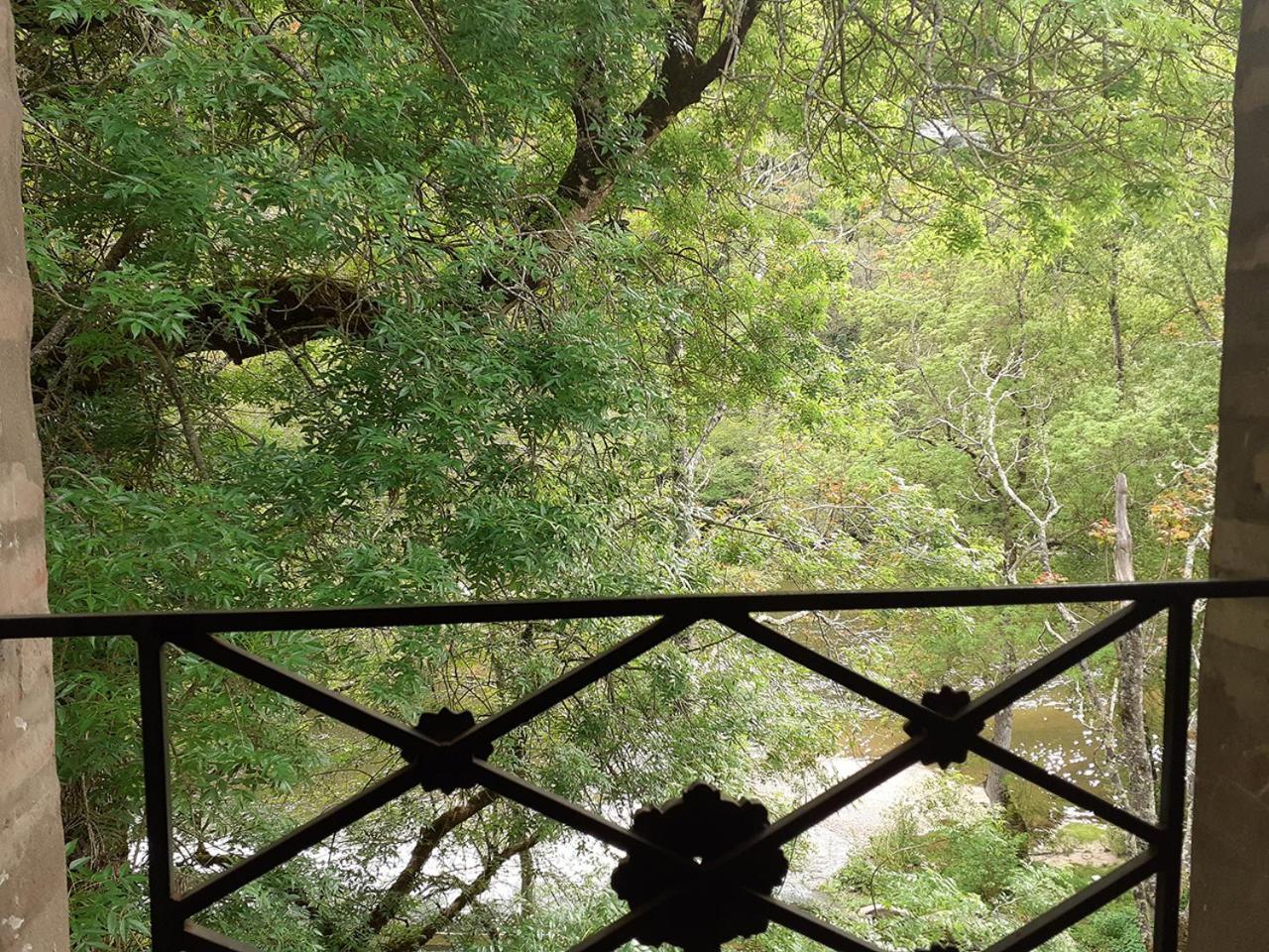 Le Moulin De Saleth Otel Saint-Antonin Oda fotoğraf